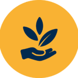 Icon 3