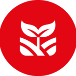 Icon 7